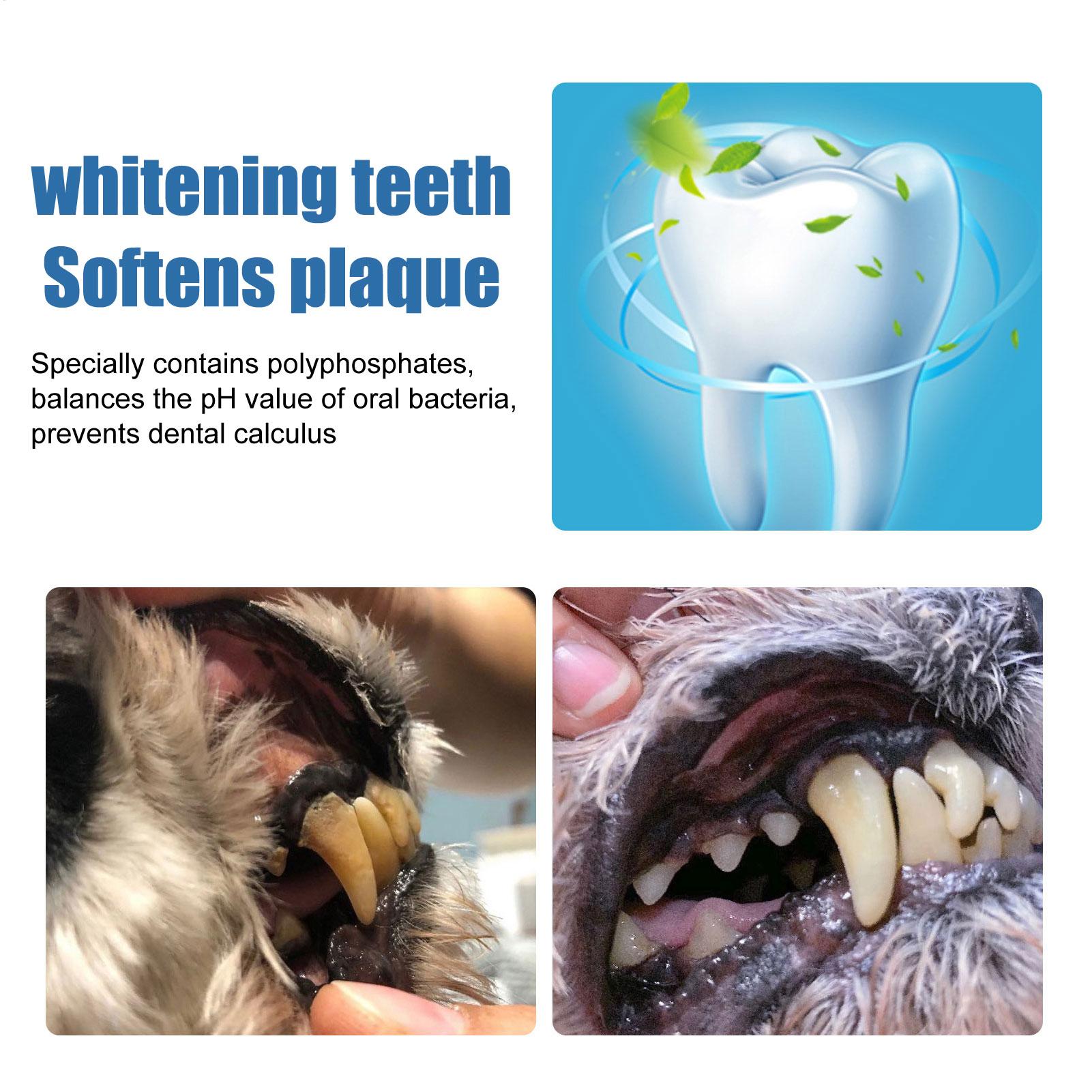 Pet Orals Tartar Remover Spray - Teeth Whitening Yellow Teeth review and price